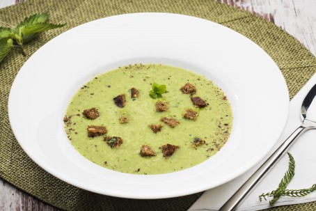 Frühlings-Wildkräutersuppe mit Kräutercroutons - Die hellgrüne Wildkräutersuppe ist in einem runden weißen Suppenteller angerichtet. Die braunen Brotcroutons schwimmen in der Suppe. (Foto: VrK/Alexander Stiegler - Nicht zur freien Verwendung)