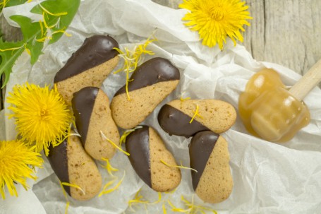 Löwenzahnzungen - Auf einem weißen Papieruntergrund liegen 7 Stück Löwenzahnzungen. Sie haben die Größe von kleinen Biskotten und sind zur Hälfte in Schokolade getaucht. Als Deko liegen Löwenzahnblüten neben den Löwenzahnzungen. Auch ein Honigzieher mit Honig darauf am Bild zu sehen. (Foto: Tobias Schneider-Lenz - Nicht zur freien Verwendung)