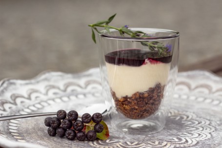 Trifle - In einem kleinen Glas ist das schnelle Schichtdessert angerichtet. Ganz unten befindet sich das Knuspermüsli, dann eine Schicht Joghurt und oben auf eine dünne Schicht Marmelade. Als Deko ist Kräuterzweig ganz oben am Dessert zu sehen. Links neben dem Gals befindet sich eine Rebe mit Aroniabeeren. (Foto: Tobias Schneider-Lenz - Nicht zur freien Verwendung)