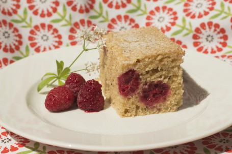 Dinkelgrieß-Joghurt-Himbeerkuchen - Auf einem weißen runden Teller ist ein Stück des flaumigen Grießkuchen angerichtet. In dem Stück kann man die Himbeeren, die sich im Kuchen befinden, deutlich sehen. Neben dem Stück liegen auf der linken Seite 3 Himbeeren und eine grüne Blume mit weißer Blüte. (Foto: Tobias Schneider-Lenz - Nicht zur freien Verwendung)