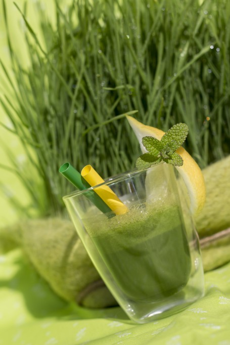 Getreidegras-Smoothie - Auf einem hellgrünen Tischtuch mit weißem Muster steht ein kleines Glas mit dem grünen Smoothie darin. Im Smoothie stecken ein grüner und ein gelber strohhalm. Am Glasrand ist eine Zitronenspalte und ein Minzeblatt als Deko angebracht. Im Hintergrund sieht man Getreidegras. (Foto: Tobias Schneider-Lenz - Nicht zur freien Verwendung)