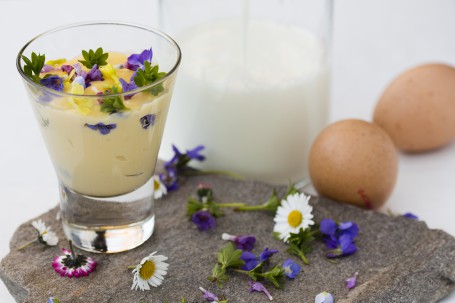 Kräuterblüten-Pudding - Auf einer Steinplatte liegen bunte Blüten verstreut. Am linken Rand der Platte steht ein kleines Glas mit dem gelben Pudding darin. Die bunten Blüten die sich im Pudding und als Deko an der Oberfläche des Puddings befinden sind gut zu erkennen. Im Hintergrund steht ein Gals Milch un 2 Eier. (Foto: Tobias Schneider-Lenz - Nicht zur freien Verwendung)