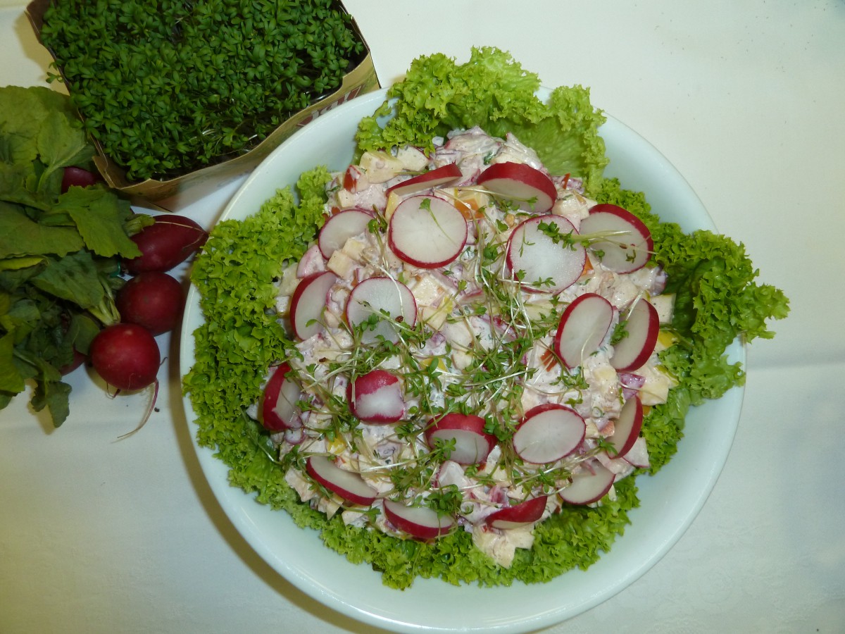 Kresse- Radieschensalat mit Äpfeln - Regionale Rezepte