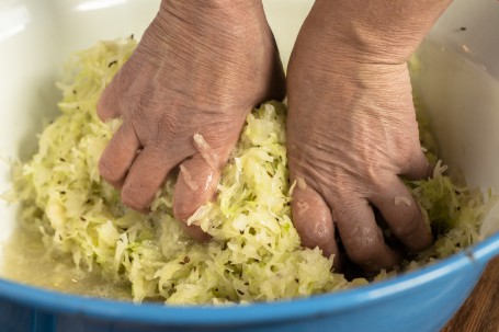 Sauerkraut 4 - In einem blauen großen Gefäß befindet sich gehobeltes Weißkraut. Zwei Hände kneten das Kraut kräftig durch. (Foto: Tobias Schneider-Lenz - Nicht zur freien Verfügung)