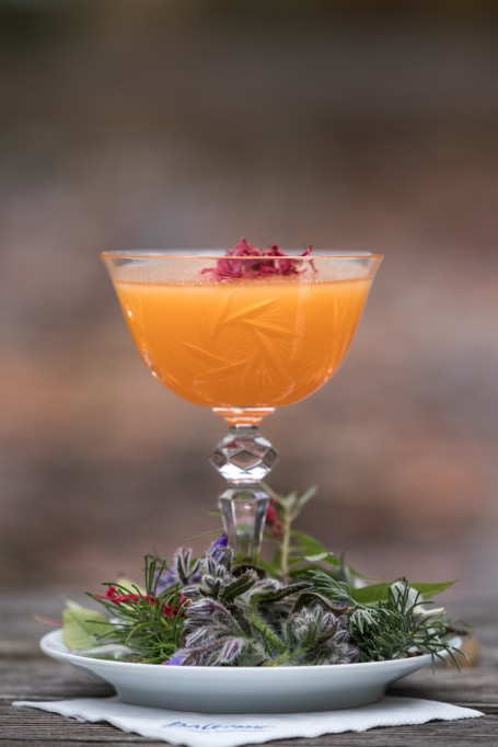 Marille trifft Schwan - Auf einem weißen Teller steht ein Glas mit Stiehl. Darin befindet sich der orangfarbene Cocktail. An der Oberfläche ist er mit roten Rosenblüten dekoriert. Auf dem Teller rund um das Glas sind Blüten und Kräuter als Dekoration platziert. (Foto: Erwin Pils - Nicht zur freien Verwendung)