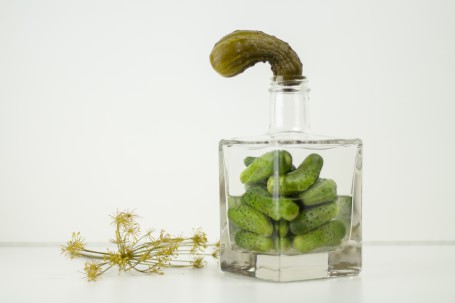 Salzgurken - Auf dem Bild ist ein eckiges Glas mit einer durchsichtigen Flüssigkeit zu sehen. In dem Glas befinden sich einige kleine Gurken. In der Öffnung des Glases steckt eine Gurke. Links neben dem Glas liegen einige blühende Dillzweige. (Foto: Tobias Schneider-Lenz - Nicht zur freien Verwendung)