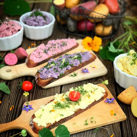 Erdäpfelkäse - Auf dem Bild sind drei Erdäpfelkäsebrote mit frischen Kräutern garniert, abgebildet. (Foto: Veronika Brudl - Nicht zur freien Verwendung)