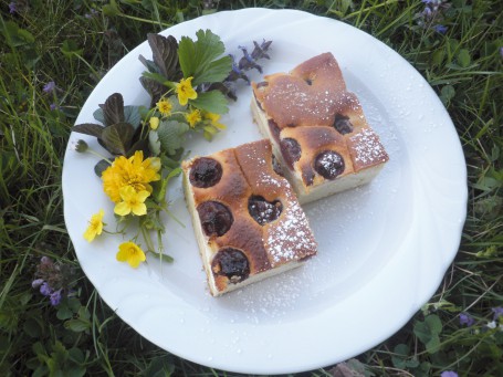 Gefüllter Kirschkuchen -  (Foto: TBO Kufstein Tiroler Bäuerinnenorganisation - Nicht zur freien Verwendung)