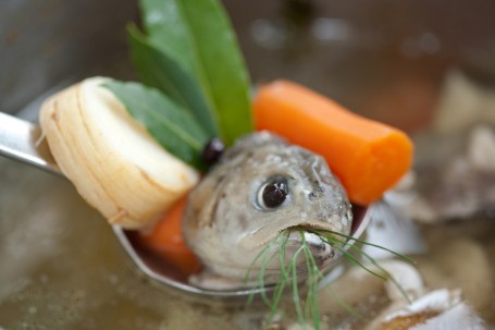 Fischfond -  (Foto: Ulrike Matscheko-Altmüller - Nicht zur freien Verwendung)