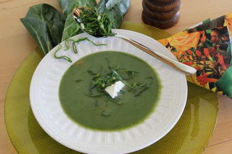 Mangoldsuppe -  (Foto: Friederike Schmitl - Nicht zur freien Verwendung)