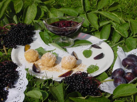 Topfenknödel mit Hollerkoch -  (Foto: Eva Maria Lipp - Nicht zur freien Verwendung)