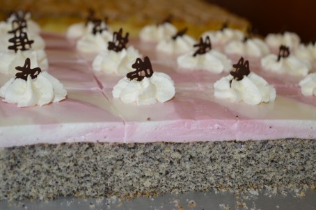 Mohnschnitte mit zweifärbiger Joghurtcreme -  (Foto: Eva Maria Lipp - Nicht zur freien Verwendung)