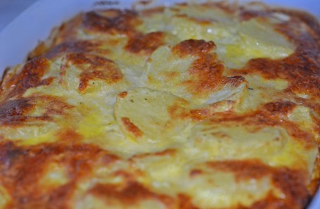 Erdäpfel-Forellen-Gratin -  (Foto: Andrea Lipp - Nicht zur freien Verwendung)