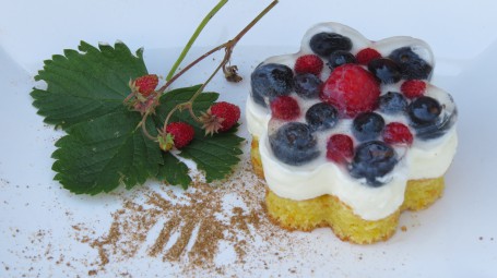 Waldbeerkuchen -  (Foto: Andrea Schilchegger - Nicht zur freien Verwendung)