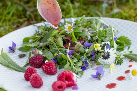 Wildkräutersalat -  (Foto: Tobias Schneider-Lenz - Nicht zur freien Verwendung)