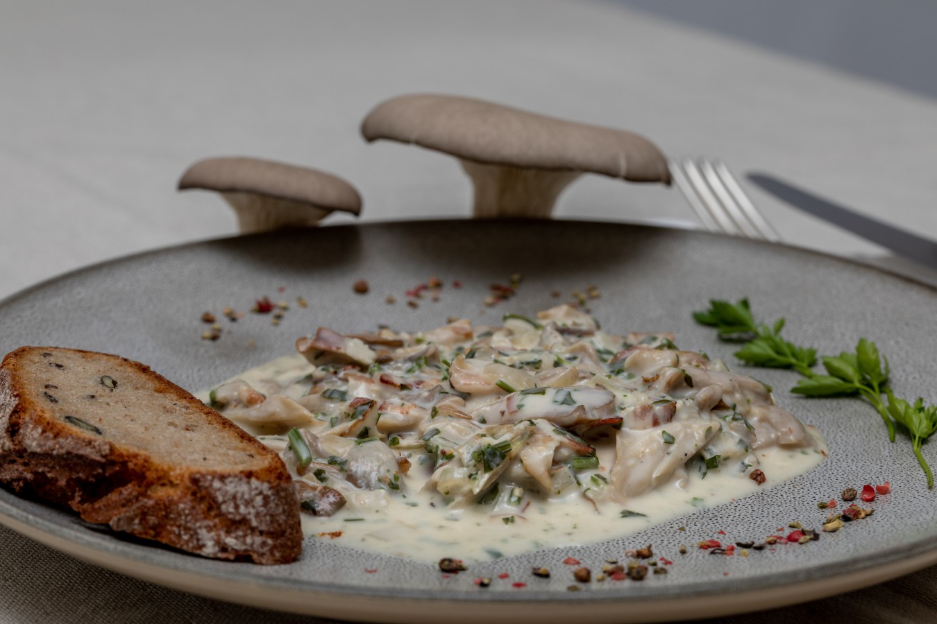 Pilzragout mit Speck - Regionale Rezepte