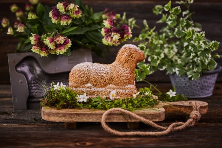 Süßes Osterlamm - Das wunderschön angezuckerte Osterlamm ist auf einem Holztisch mit einem hölzernen Schneidbrett angerichtet. Die Unterlage des Schafes bilden grüne Gräser und weiße Blüten. Im Hintergrund sind die Backform und grün-rosa Pflanzen platziert. (Foto: VrK/Franz Gleiß - Nicht zur freien Verwendung)