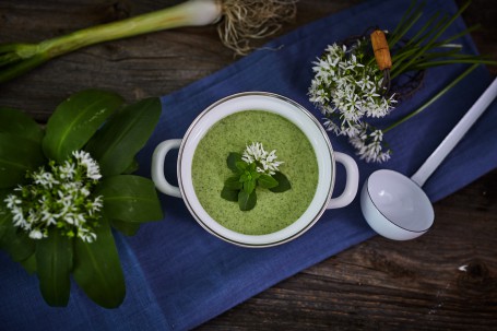 Bärlauch-Spinat-Cremesuppe - In einem weißen Topf ist die grüne Bärlauch-Spinat-Crem-Suppe angerichtet. Diese ist mit Minze und Bärlauch-Blüten verziert. Der Topf steht auf einem blauen Tischtuch, rechts neben dem Topf liegt ein weißer Schöpflöffel. Die rechte Seite des Bildes ist mit weißen Bärlauch-Blüten bestückt, die linke Seite ist mit Blüten und grünen Bärlauch-Blättern ausgestattet. Im Hintergrund des Bildes liegt noch eine grüne Pflanze. (Foto: VrK/Franz Gleiß - Nicht zur freien Verwendung)