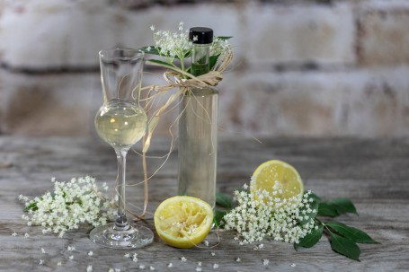 Holunderblütenlikör - Auf einer grauen marmorierten Fläche steht ein Fläschchen mit dem durchsichtigen Holunderblütenlikör. Die Flasche ist beim Hals mit einer braunen Bastschleife mit der eine Holunderblüte befestigt wird, verziert. Neben der Flasche steht ein langsiehliges Likörglas, das bis zur Hälfte mit dem Holunderblütenlikör gefüllt ist. Dekorativ liegen zwischen und neben dem Gals und der Falsche Holunderblüten und Zitronen. (Foto: VrK/Achim Mandler Photography - Nicht zur freien Verwendung)