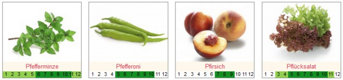 Saisonkalender Symbolbild